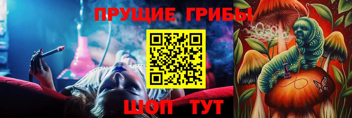 купить наркотик  Вход с VPN  Кстово  Псилоцибиновые грибы Magic Shrooms 