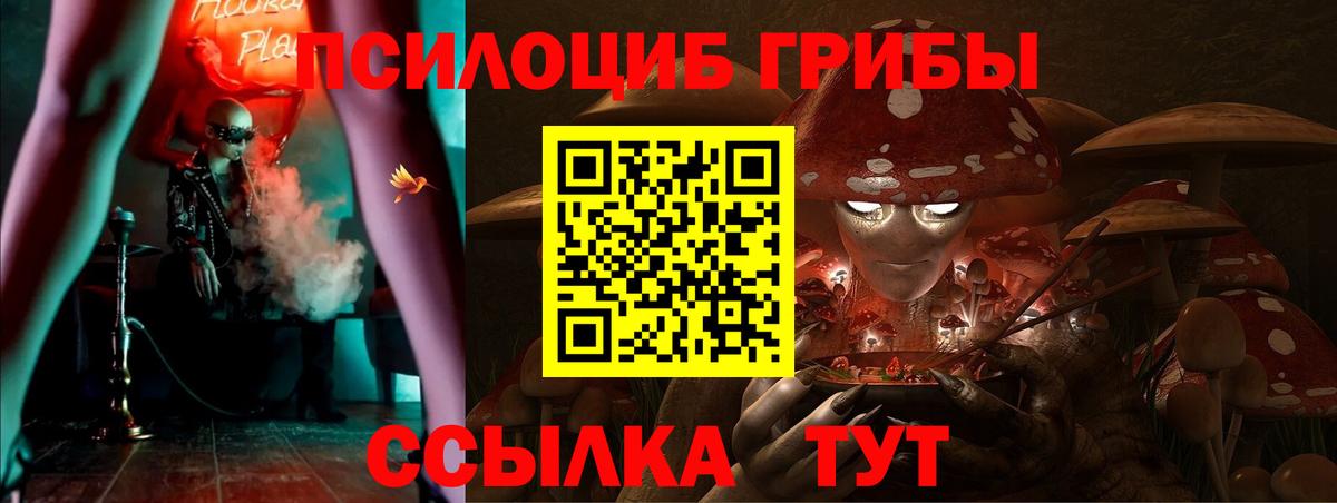 Галлюциногенные грибы Cubensis Кстово